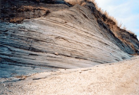 Photography of thin layered siltstones and silty marls at Crnika Beach, Island of Pag, Croatia (scale: geol. hammer 33cm) – for more information see the paper by Bulić & Polšak (this Vol.)