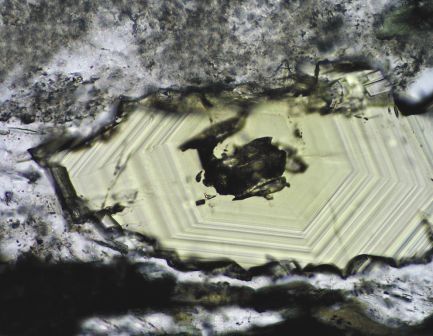Alteration mineral assemblages in the margin closest to the veins. Well developed growing zonation in a cavity filling epidote crystal (1N)